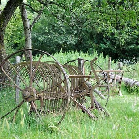 Hendre Aled Cottage 1 Llansannan Ngoại thất bức ảnh