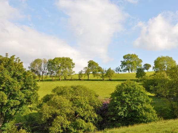 Hendre Aled Cottage 1 Llansannan Ngoại thất bức ảnh